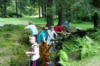 Wasserleitung im Bach