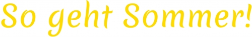 n-logo-so-geht-sommer n-logo-so-geht-sommer